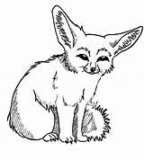 Fox Desert Coloring Fennec Pages Clipart Drawing Baby Color Getdrawings Netart Sketch Printable Clip Library Templates Getcolorings Cliparts Template sketch template