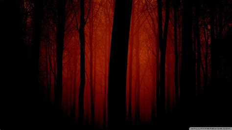 bloody forest  nightmare dungeon haunted houses