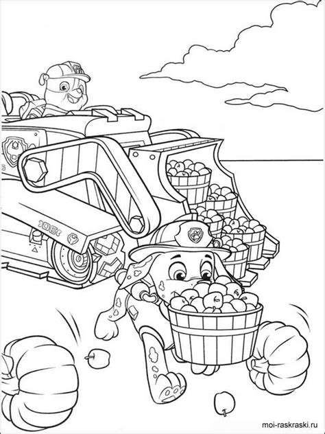 paw patrol coloring pages  printable paw patrol coloring pages