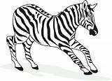Zebra Coloring Pages Printable Kids Cartoon Color Realistic Drawing Kid Print Getcolorings Clipartmag sketch template