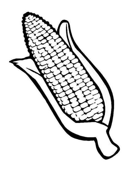 drawing corn  coloring page coloring sun