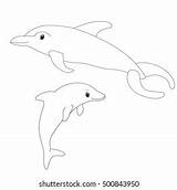 Similar Dolphin Outline Silhouette Coloring Book Vector Stock Shutterstock Royalty sketch template