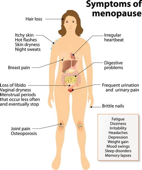 menopause symptoms what s up usana healthy and fit after 40 menopause symptoms menopause