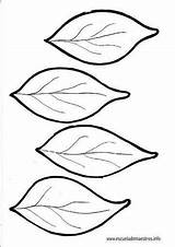 Coloring Leaves Pages Leaf Flower Flowers Printable Preschool Template Preschoolactivities Kindergarten Outline Toddler Molde Worksheets Crafts Actvities Comment First Leave sketch template