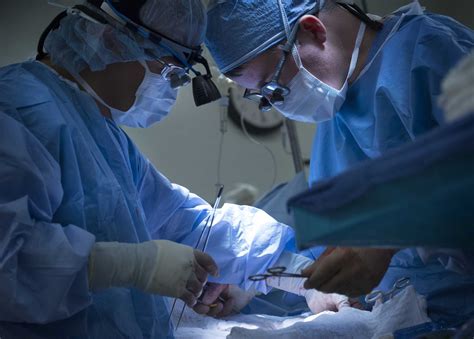 trump signs executive order  revamp kidney care organ transplantation