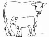 Bull Coloring Pages Riding Pbr Kids Mother Color Rodeo Drawings Colouring Cartoon Popular Printable Template sketch template