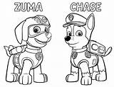 Patrol Paw Zuma Ellierosepartydesigns Getdrawings sketch template