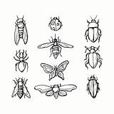 Vecteezy Insects Bugs Dxf sketch template