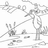 Kleurplaten Dieren Vogel Dierendag Reiger Mewarnai Animasi Bergerak Burung Binatang Hewan Oiseau Animaatjes Animierte Animali Uccelli Halaman Coloringpages1001 Animate Malvorlagen1001 sketch template