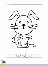 Rabbit Worksheet Coloring Worksheets Animal Animals Thelearningsite Info sketch template