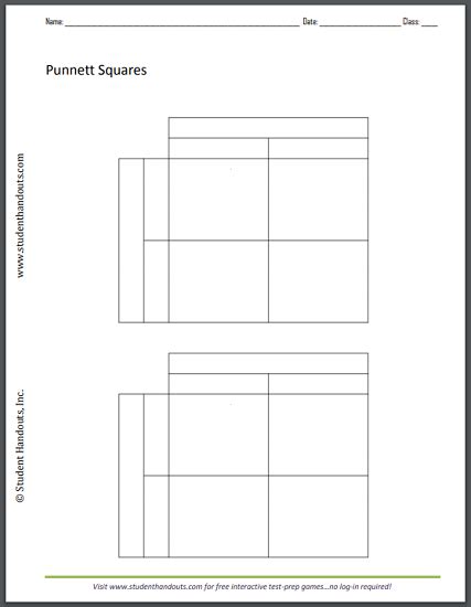 monohybrid cross punnett square worksheet free to print