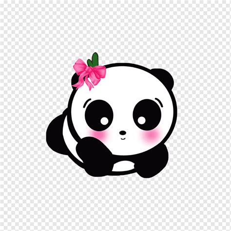 panda illustration giant panda cute panda cuteness android application