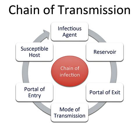 chain  transmission disease detectives wiki fandom powered  wikia