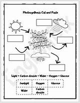 Photosynthesis Paste Englishbix Writing sketch template