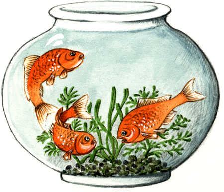 stock illustration fish bowl