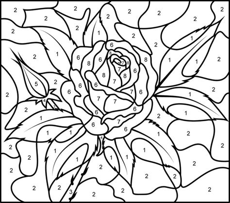 coloring page color  number adults  printables image ideas