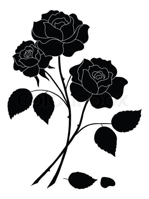 Flowers rose, silhouette   Stock Photo   Colourbox