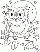 Owl Animal Coloring Pages sketch template