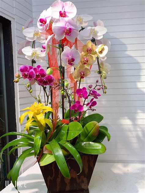 Orchid Arrangement 04 Kimanh Flowers