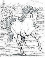 Coloring Horse Pages Pretty Getcolorings Color Printable sketch template