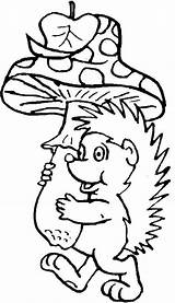 Kids Hedgehogs Coloring Pages Fun Egels sketch template
