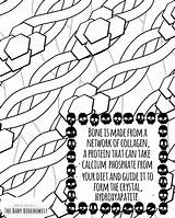 Coloring Pages Molecule Protein Comments Getcolorings Halloween Getdrawings sketch template