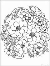 Pages Flowers Blooming Coloring Adults Nature Color Print sketch template