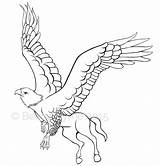 Hippogriff Coloring Baby sketch template