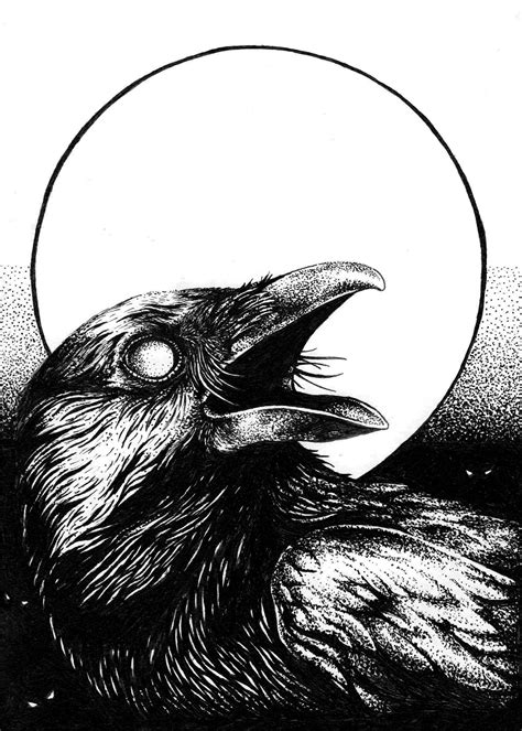 crow illustration black and white download illustration 2020