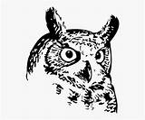 Owl Great Horned sketch template