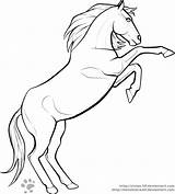Rearing Horse Coloring Pages Template Lineart sketch template