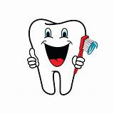 Tooth Clipart Teeth Clip Dentist Dental Dentistry Icon Drawing Healthy Health 4k Oral Clipartmag Stock Clipground Simple Cartoon Toothbrush Illustration sketch template
