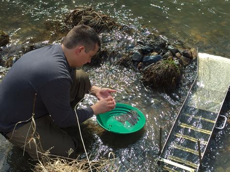 finding minnesota gold prospecting in the midwest region