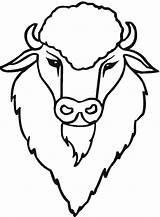 Buffalo Coloring Pages Bison Drawing Head American Draw Cute Animals Kids Printable Getdrawings Wildlife Template sketch template