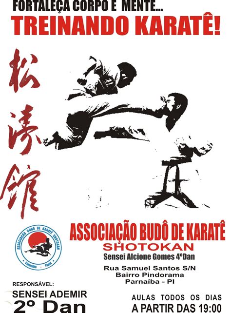 federaÇÃo piauiense de karatÊ shotokan março 2013
