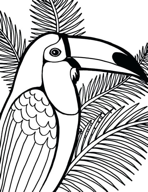 flying parrot coloring pages  getdrawings