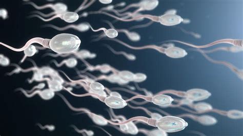new zealand launches the world s first sperm bank for hiv