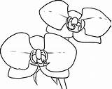 Orquideas Pintar sketch template