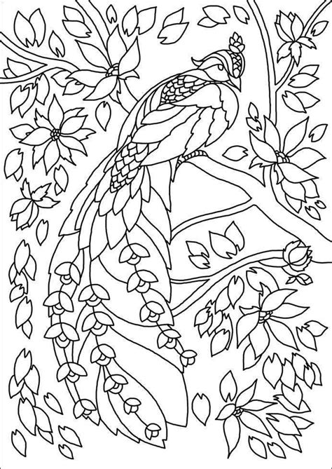 pin  animals adult colouring zentangles