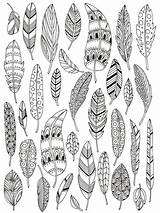 Doodle Choose Board Feathers Coloring sketch template