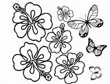 Mariposas Pintar Plantillas Flor Pintarcolorear Mariposa Hawaiana Bolitas Listas Llenar Plantilla Elige Từ Bài Viết sketch template