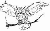 Owl Coloring Drawing Pages Kids Printable Burrowing Drawings Owls Color Horned Bird Draw Great Cool Birds Bestcoloringpagesforkids Print Screech Tattoos sketch template