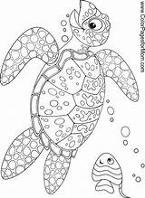 Turtle Ausmalen Colouring Zeichnen Sponsorship Colorpagesformom Salvat sketch template