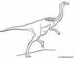 Gallimimus Coloring Jurassic Pages Kids Printable Color Dinosaur sketch template