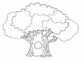 Tree Coloring Elm Pages Getcolorings Color sketch template