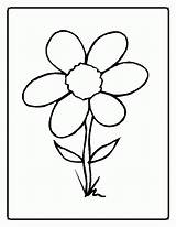 Coloring Plant Parts Pages Flower Printable sketch template