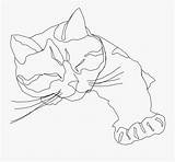 Cat Drawing Line Contour Transparent Clipart Clipartkey sketch template