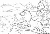 Narnia Aslan Monde Cronache Colorier Inuyasha Tresor Momes Recortar Pegar Láminas Chroniken sketch template