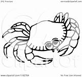 Clipart Crab Illustration Royalty Prawny Vector Starfish Clip Clipartpanda Alimango Clipartmag Collc0089 Protected Law Copyright sketch template