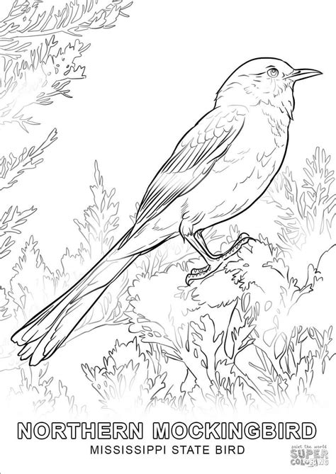bird coloring pages coloringbay